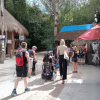 Cobá Accessible Jungle Tour
