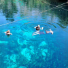 Accessible Coba & Cenote Adventure