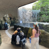Xcaret Park Wheelchair Friendly Tour