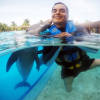 Accessible Dolphin Swimming Experience