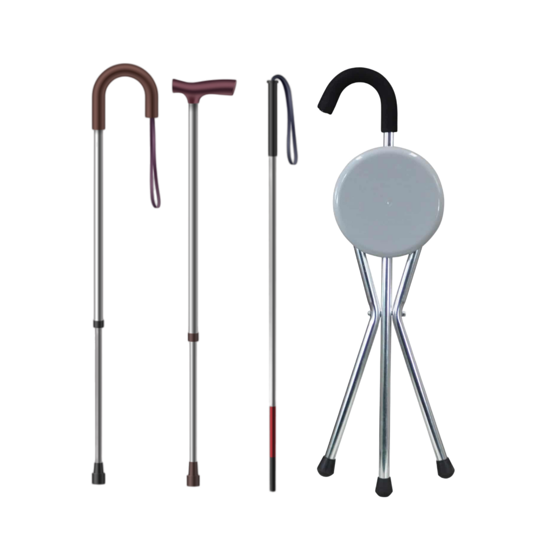 Walking stick